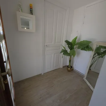 House In With Private Pool Garden Terrace And Parking Cannes